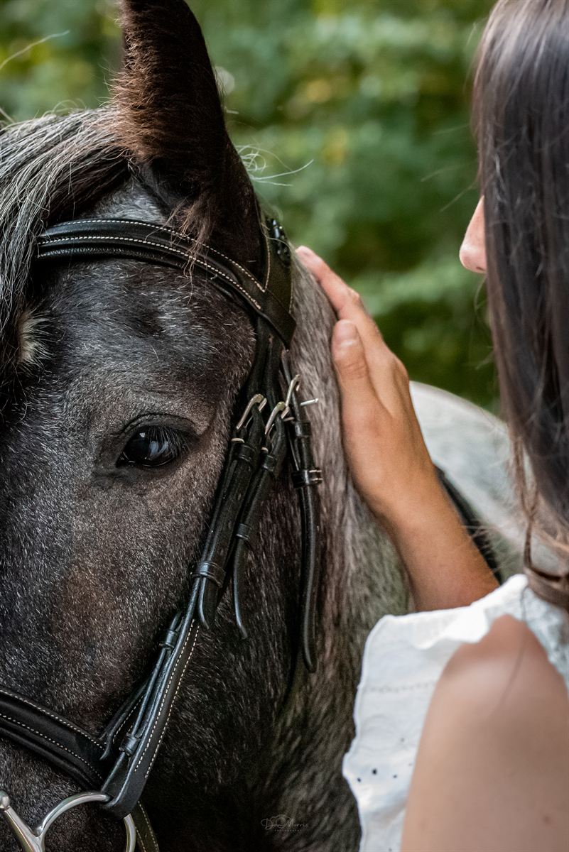 Bond between horse and owner captured in natural light