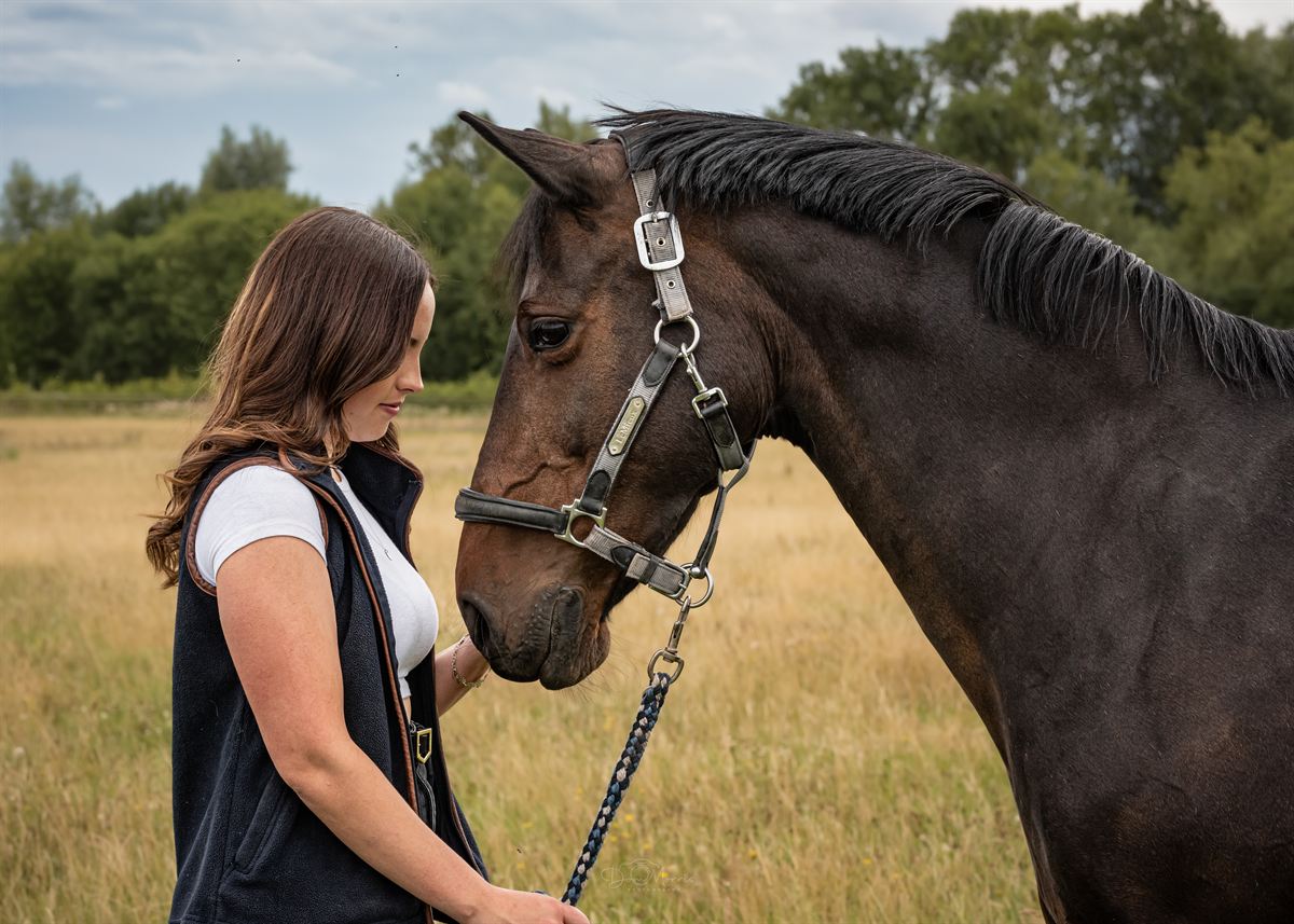Rider looking back over shoulder during equestrian session