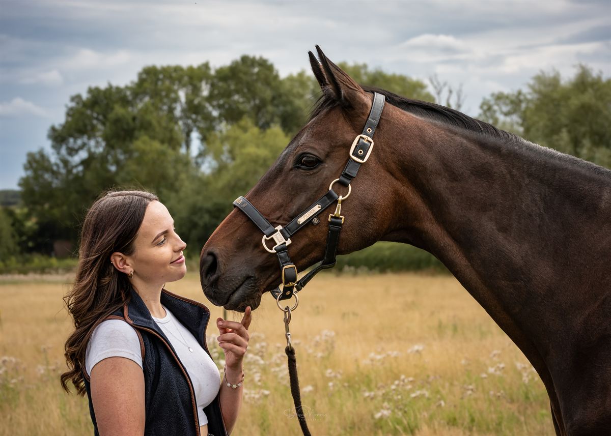 Horse and rider galloping across Derbyshire countryside